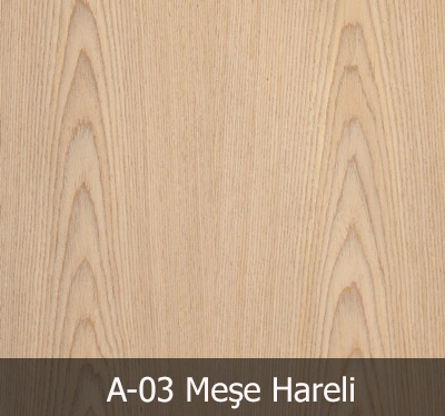 A03 Meşe Hareli